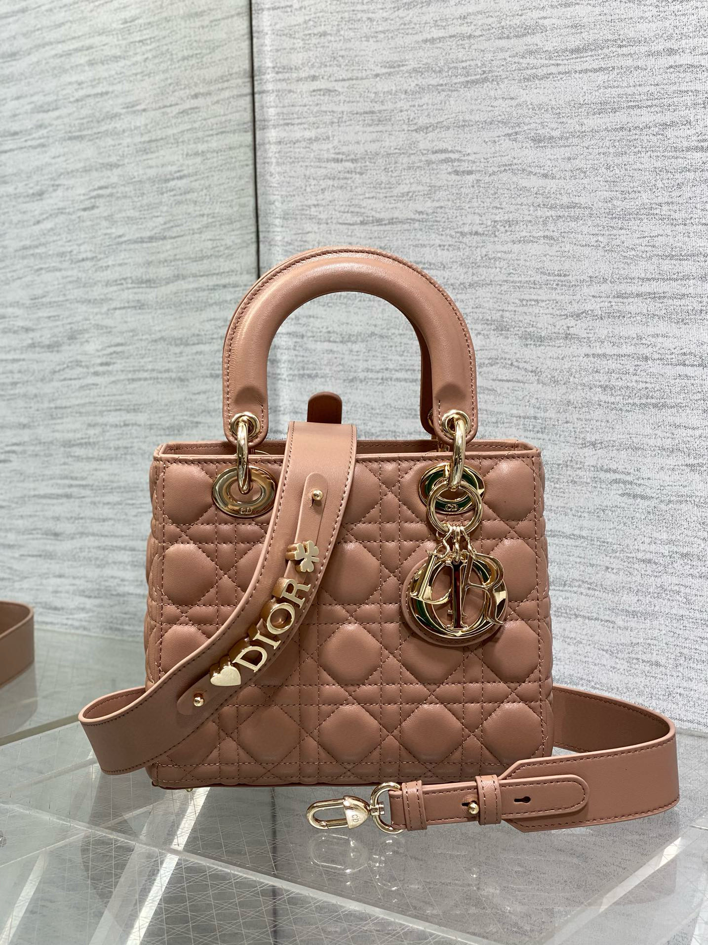 디올 레이디 백 여자가방