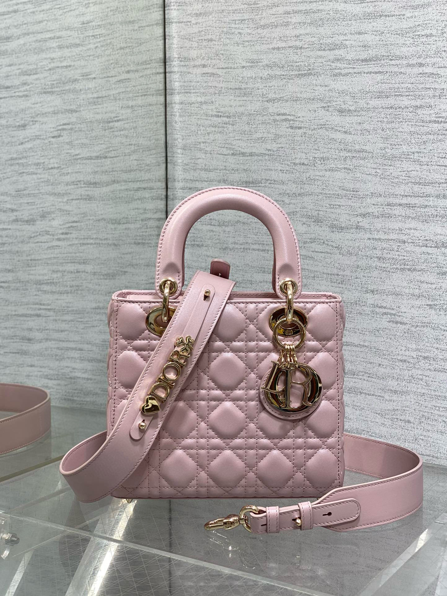 디올 레이디 백 여자가방