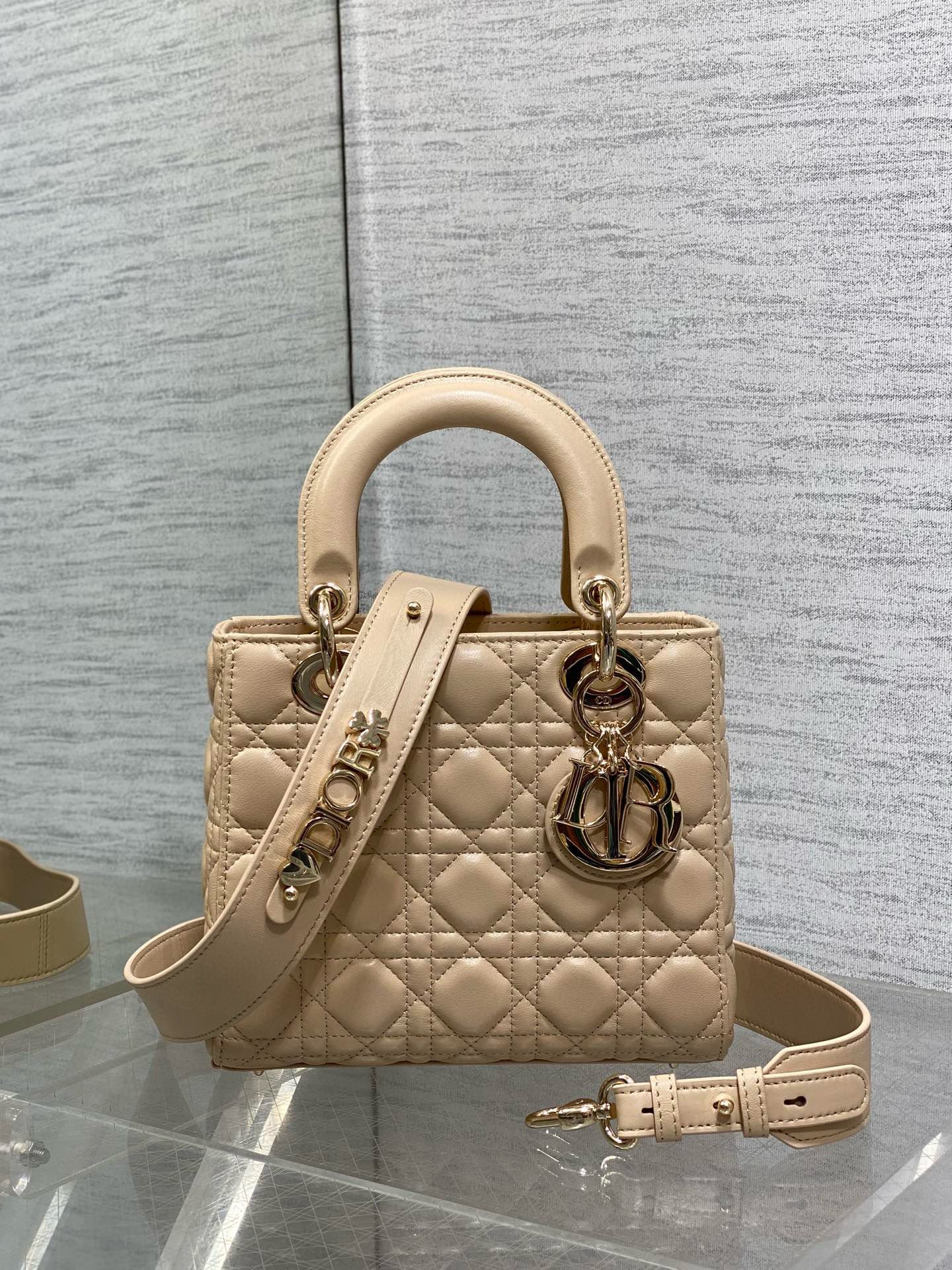 디올 레이디 백 여자가방