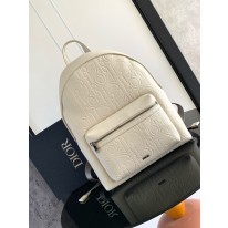 디올 백팩