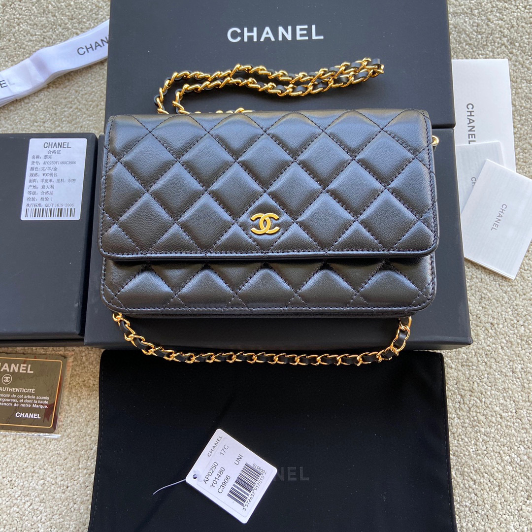 샤넬 여자가방 AP0250