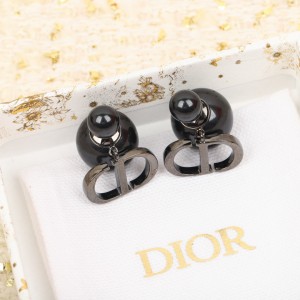 디올 귀걸이