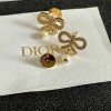 디올 귀걸이