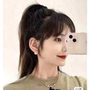 디올 귀걸이