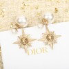 디올 귀걸이